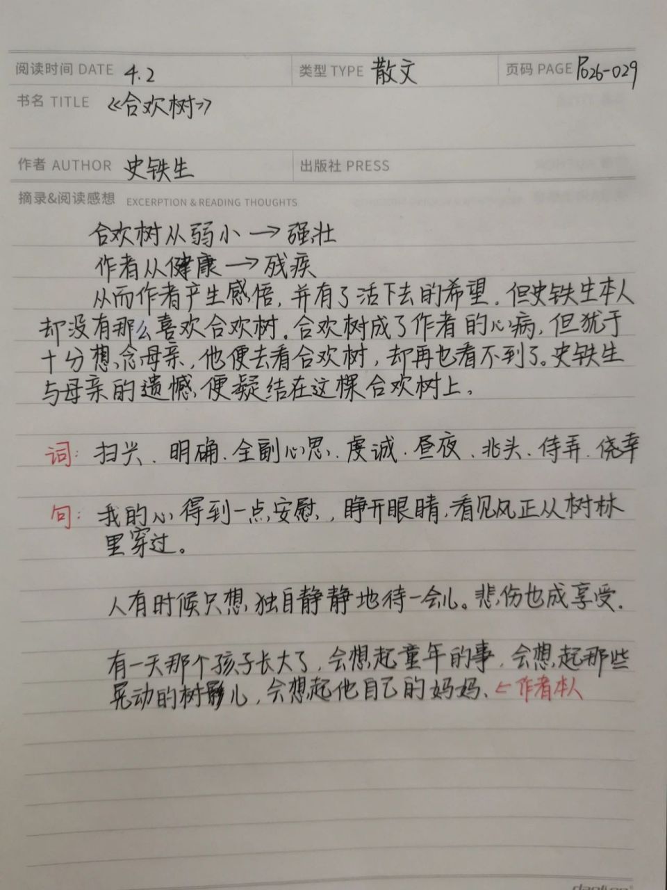 史铁生《合欢树》读书笔记 读书笔记