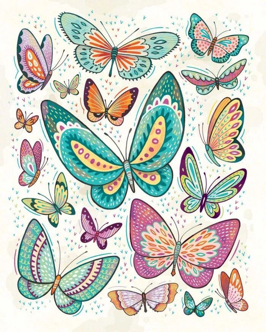 蝴蝶颜色搭配图儿童图片