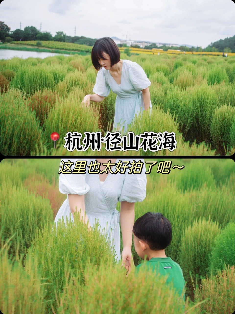 91秋日童话-径山花海 99门票:余杭,临平户籍免费,凭市民卡或 余杭