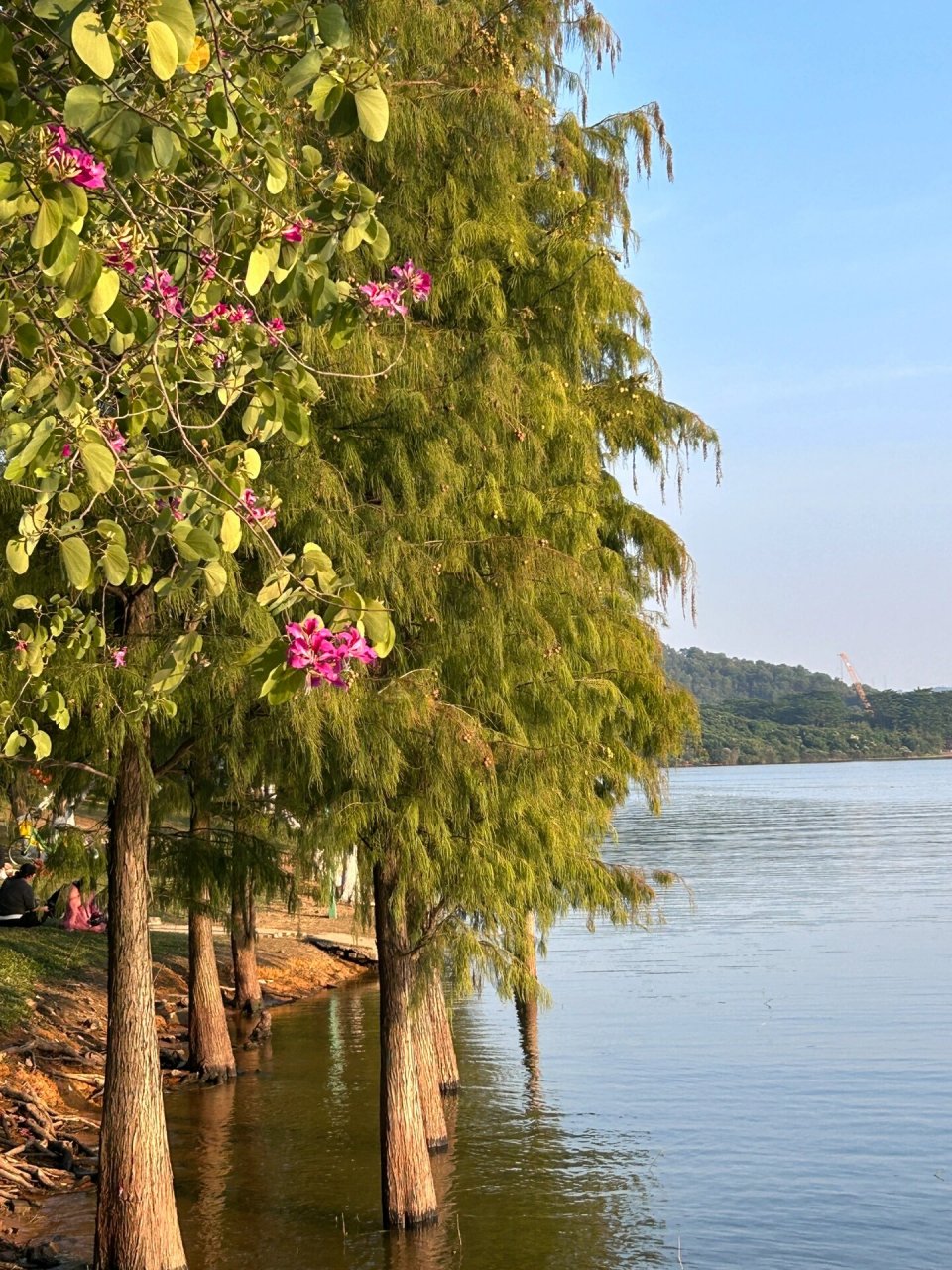 99松山湖01 东莞|松山湖风景区   秋高气爽 天高云淡  9815