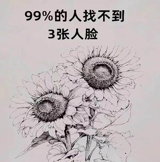 人脸搜索找人=人脸搜索这个网站真的假的