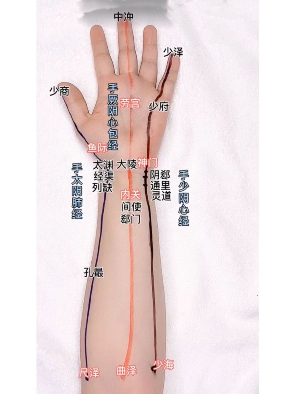 手臂经络走向图及话术 阴1,我现在帮您调理的是肺经 肺经主管人体的