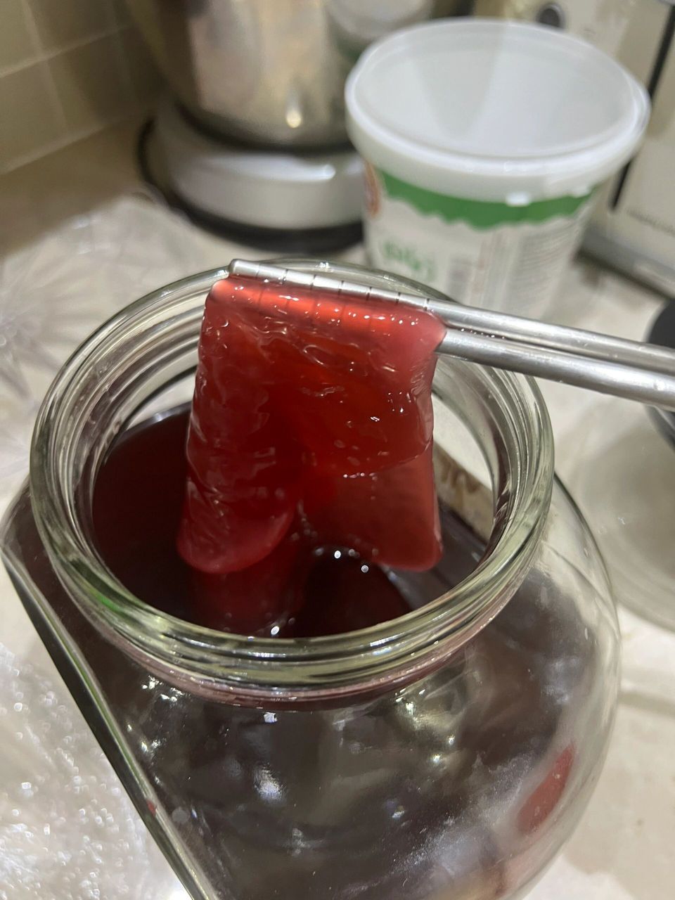 醋宝 我家自制的醋已经养出了像海蜇物体,我们中国人叫醋宝.