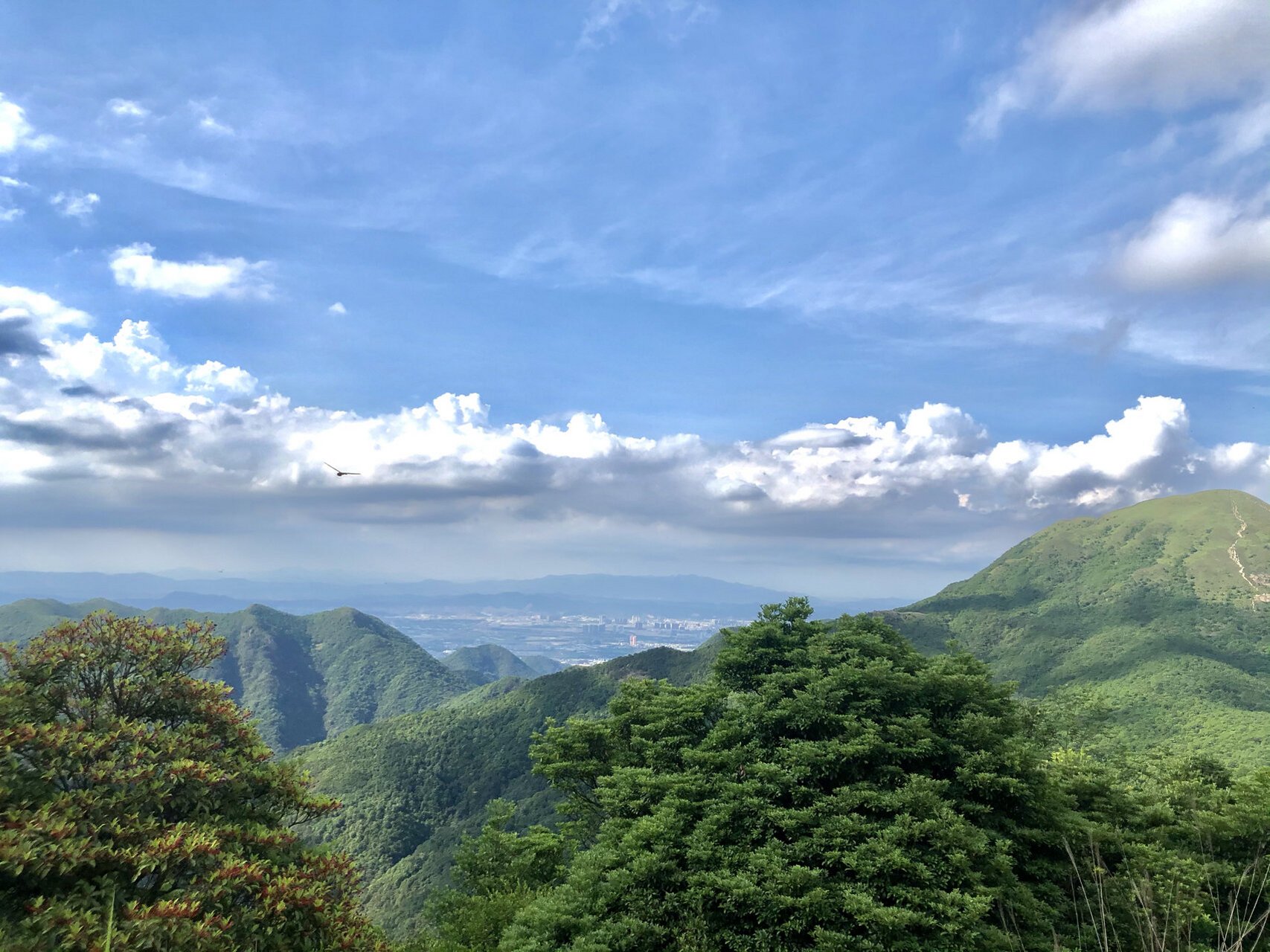 银瓶山森林公园(东莞第一峰) 山顶的风景原来这么美,辛苦一段路程换来