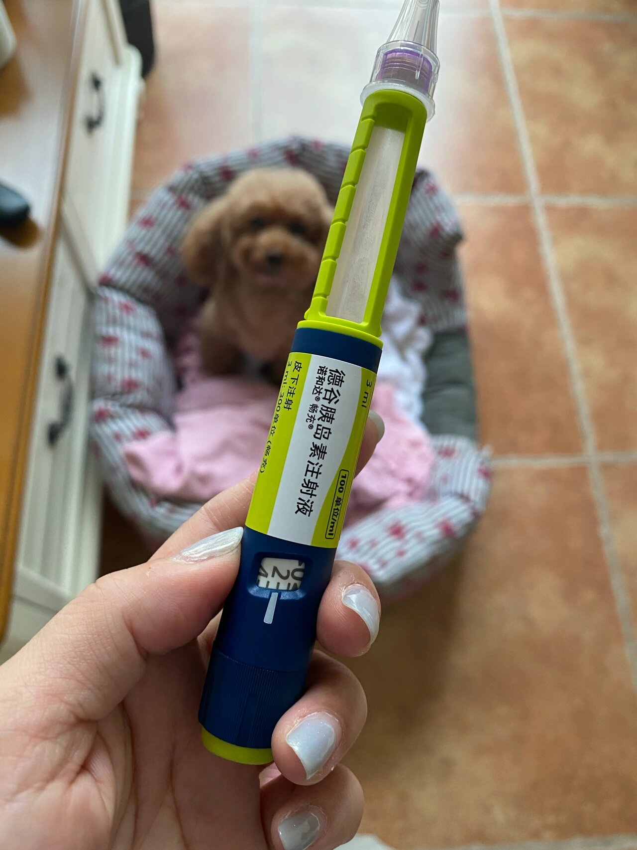 家有糖宝今天德谷胰岛素到货