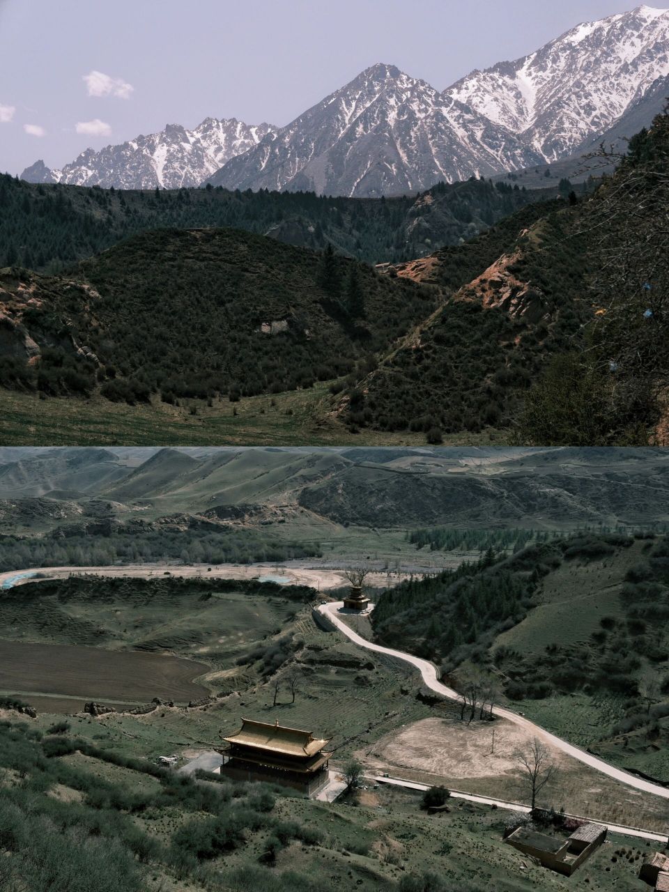 14|张掖金塔寺】临松薤谷,万里祁连 因为之前到过张掖,七彩丹霞等景区