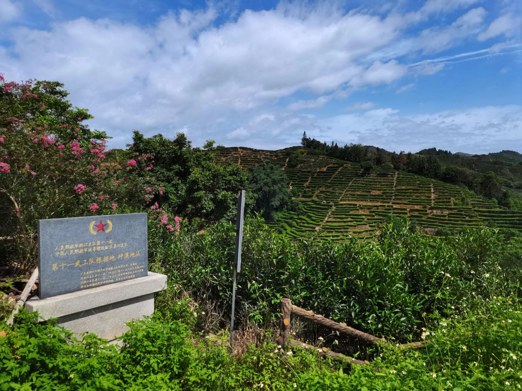 单丛茶之乡-饶平坪溪观茶亭 周末开车去饶平买单丛茶,开了好几十公里