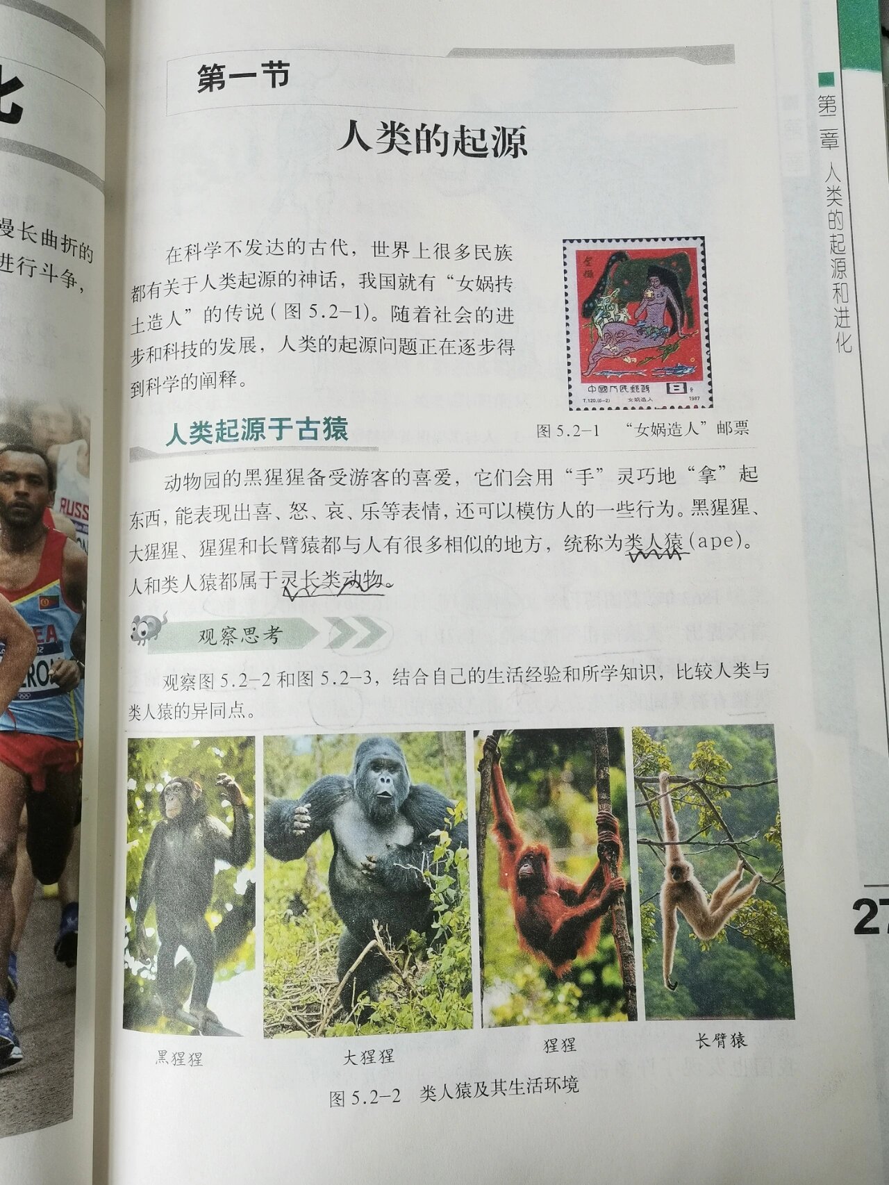 济南版八下生物【人类的起源】 73人类和类人猿起源于森林古猿