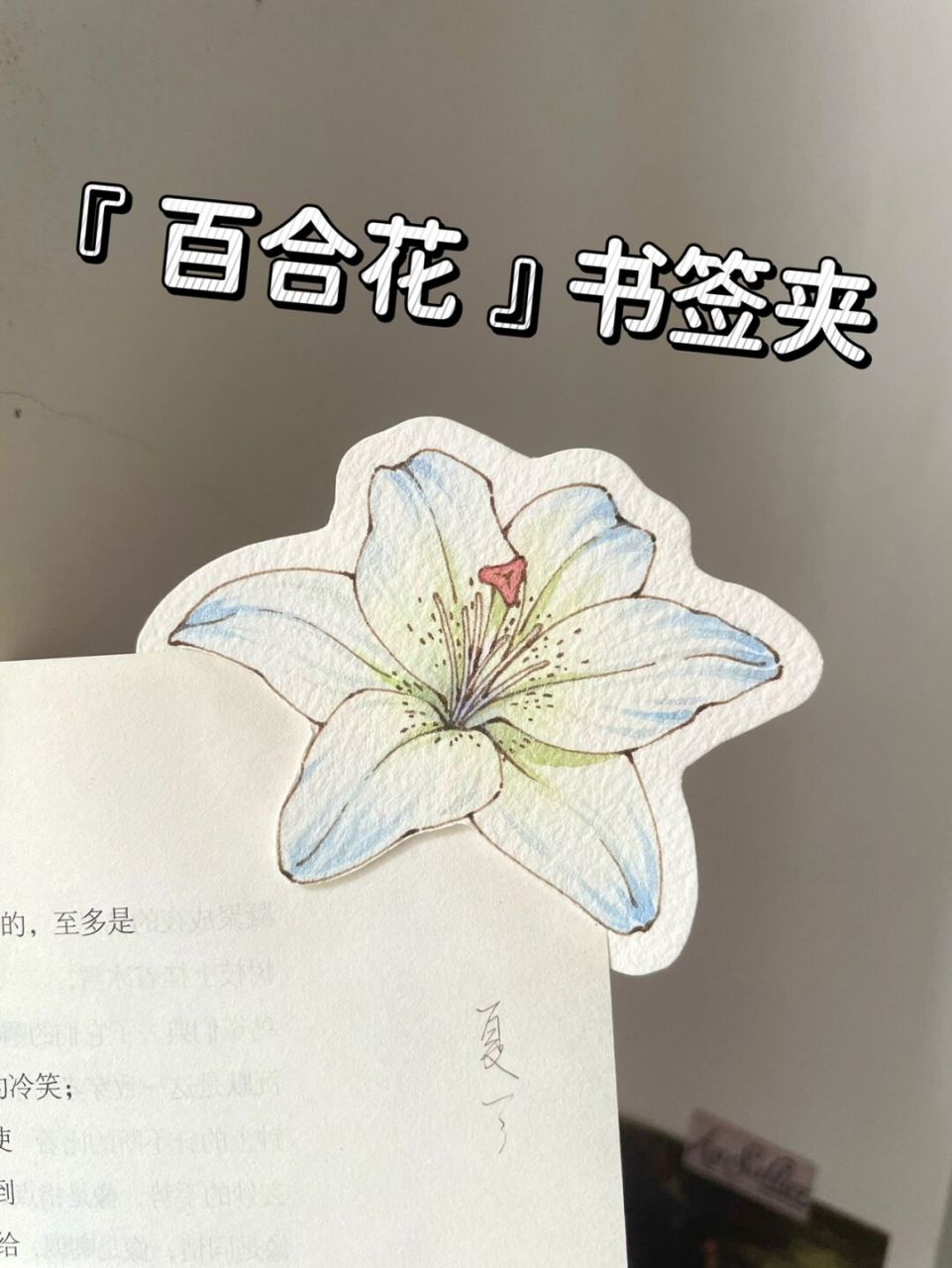 自制书签92钢笔淡彩百合花|附线稿上色过程 简单纯洁的百合花你们