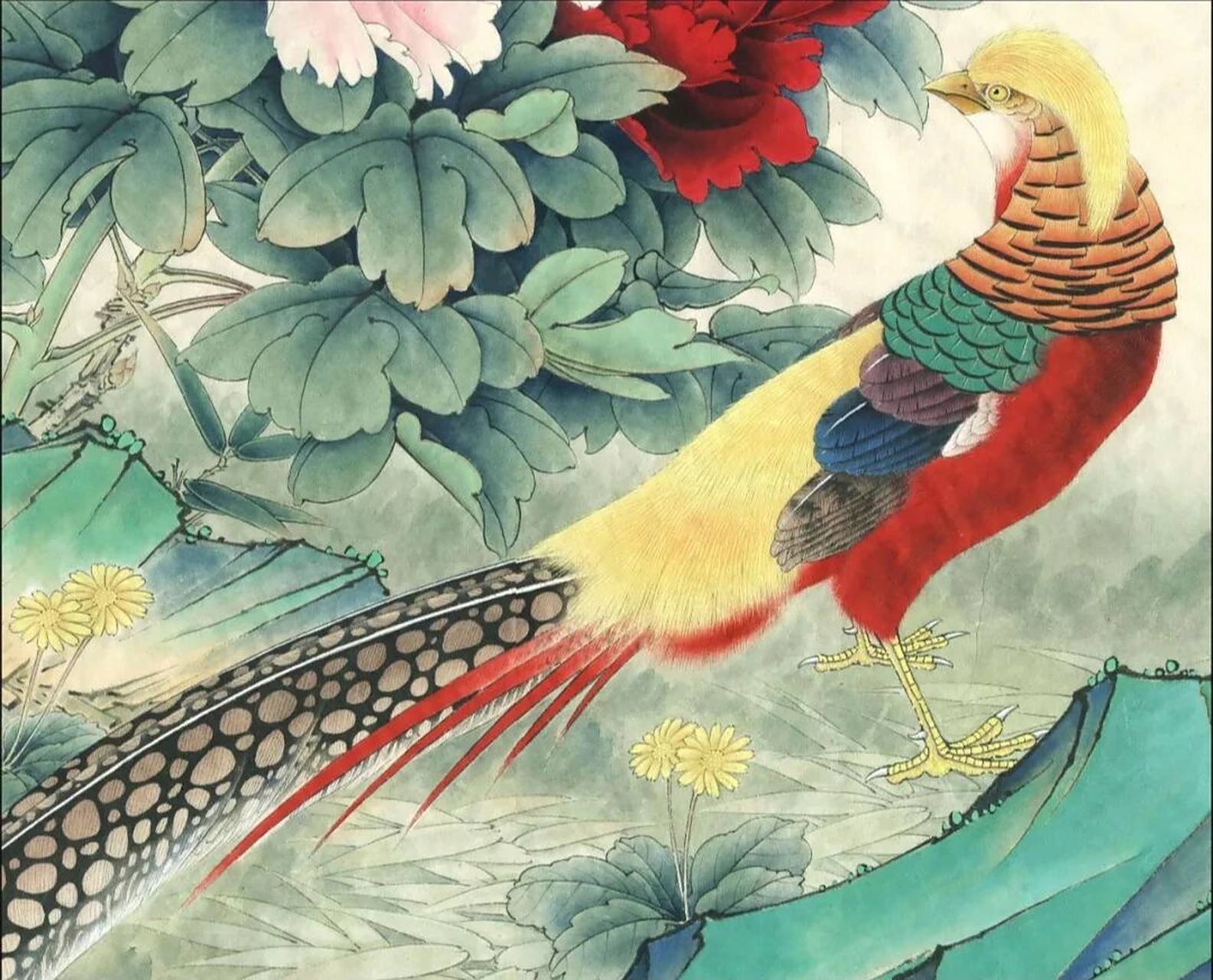 工笔画步骤分享《红腹锦鸡》 李晓明 《红腹锦鸡》设色步骤 一,红腹