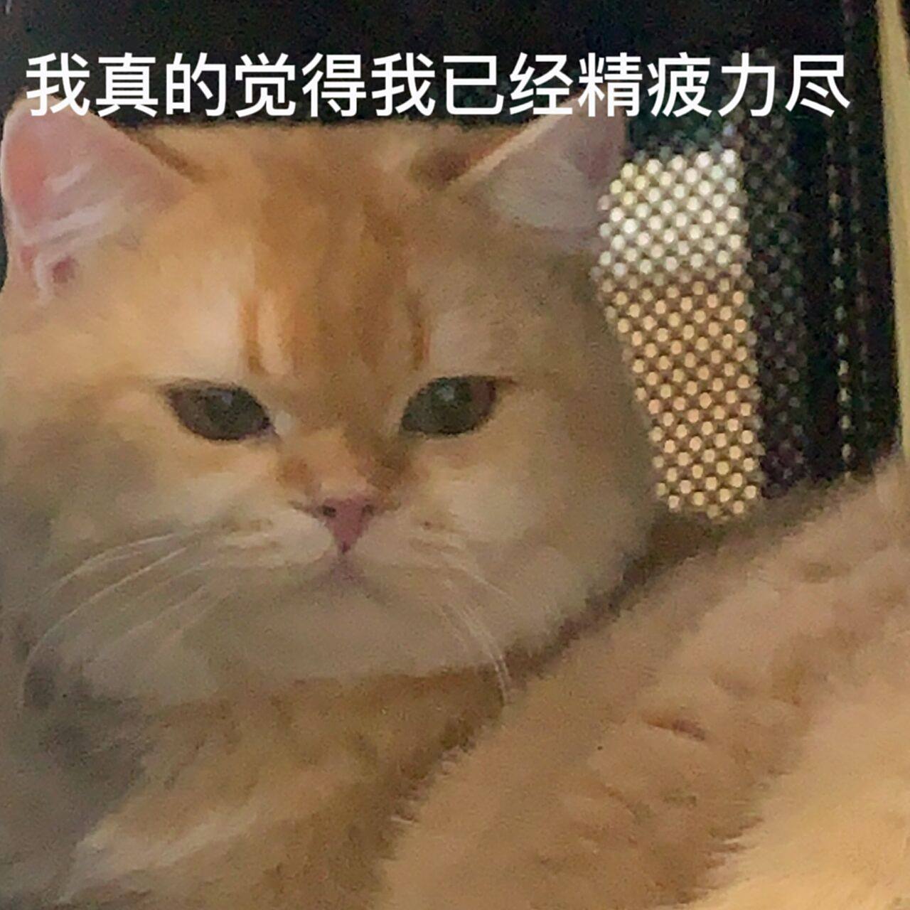 一波发泄小情绪表情包来咯~ 省略号表示即使我词穷,但是我还在~02