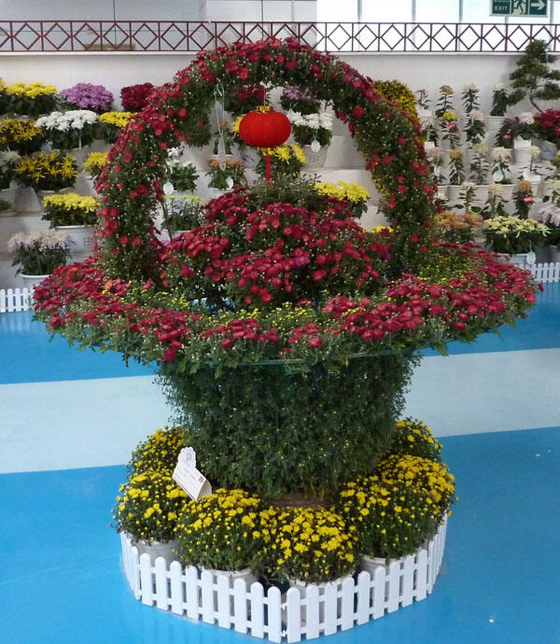 菊花造型艺菊-花篮菊 菊花造型艺菊-花篮菊02#菊花造型#0202