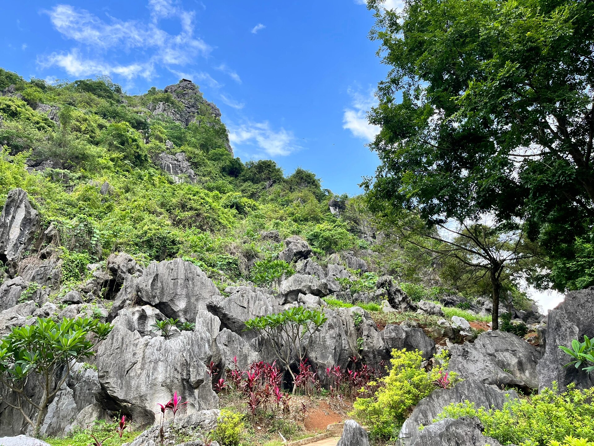 春湾石林风景区图片