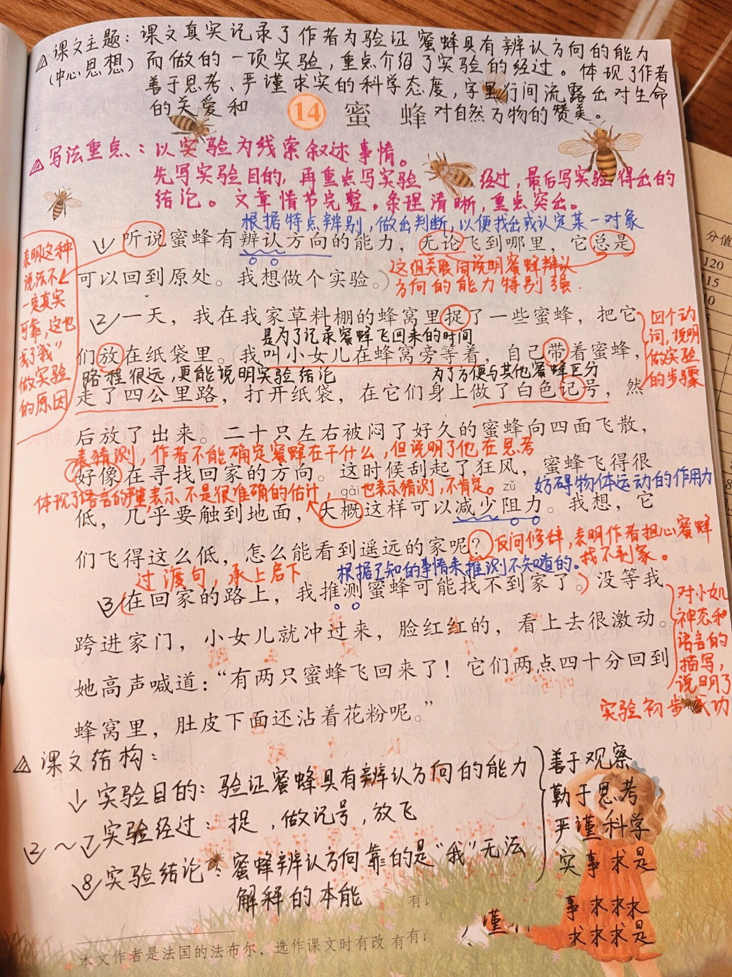 三年级语文下册《蜜蜂》笔记