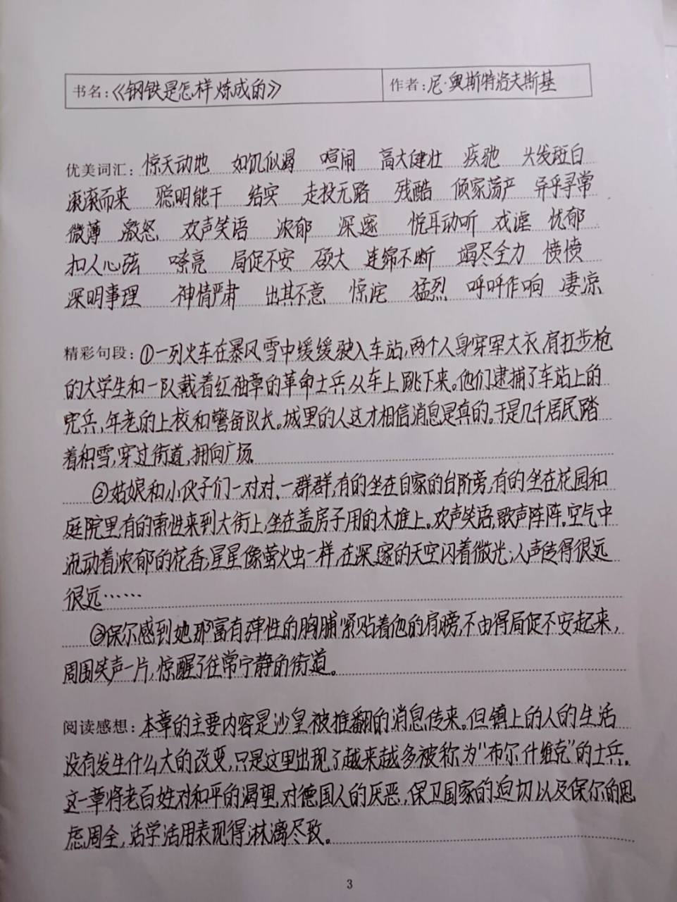 《钢铁是怎样炼成的》读书笔记 《钢铁是怎样炼成的》读书笔记 第一部
