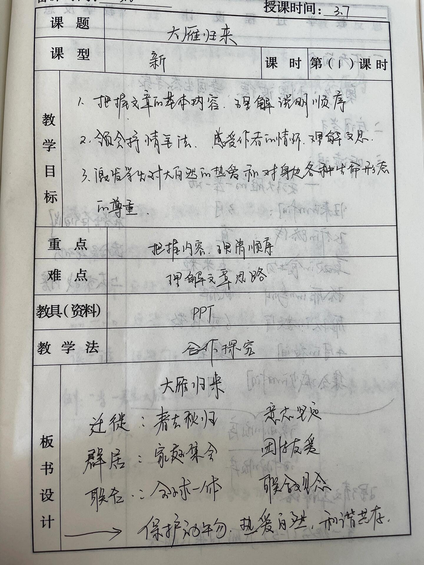 《大雁归来》教案