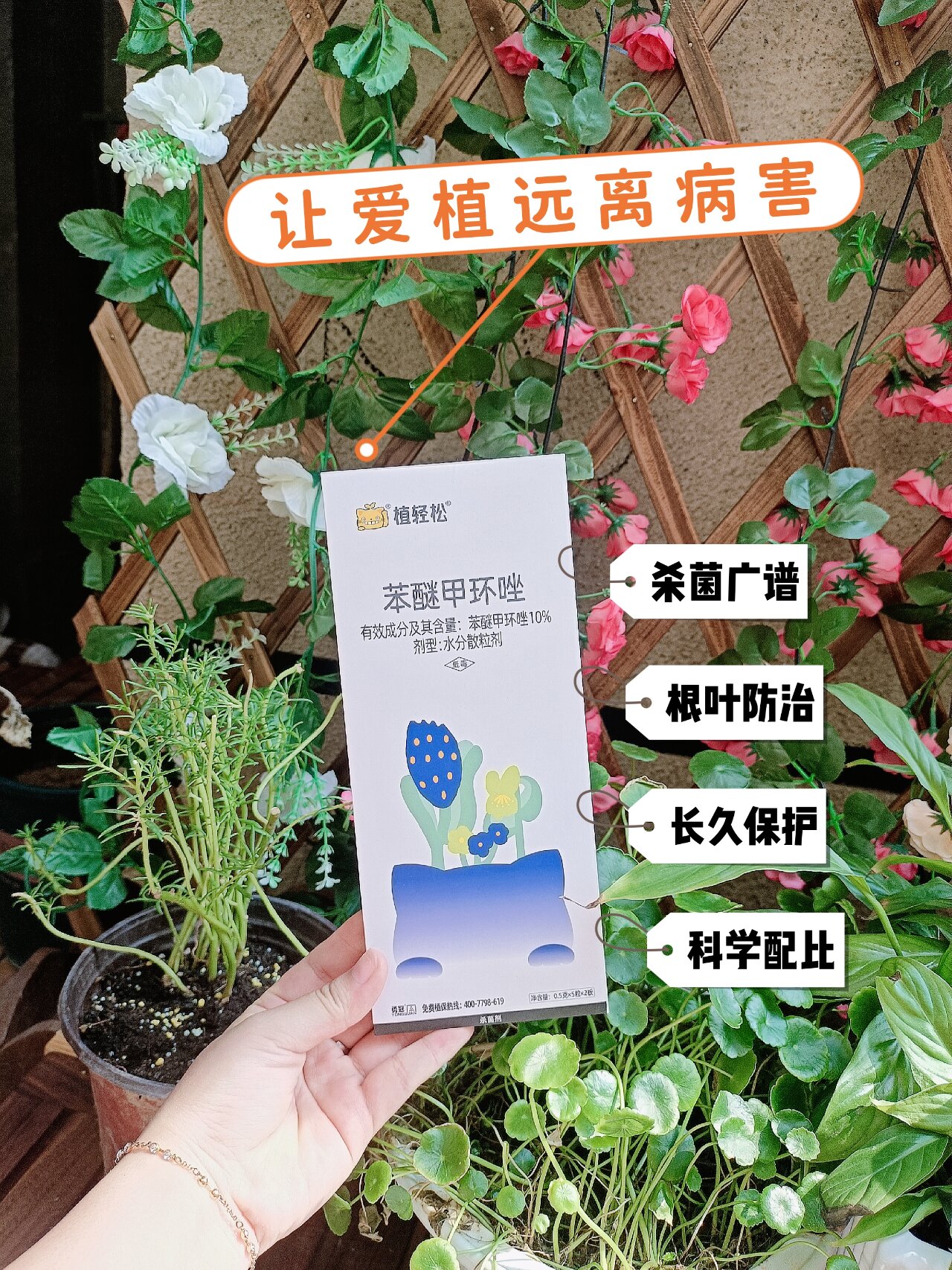 这款花卉94杀菌剂推荐给爱养花的你 96最近河南的天气就像过山车