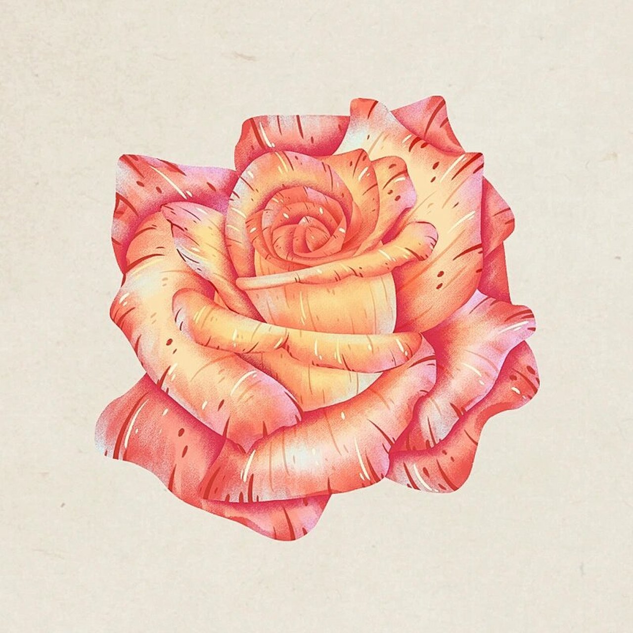 玫瑰花插画|复杂的花瓣怎么画?