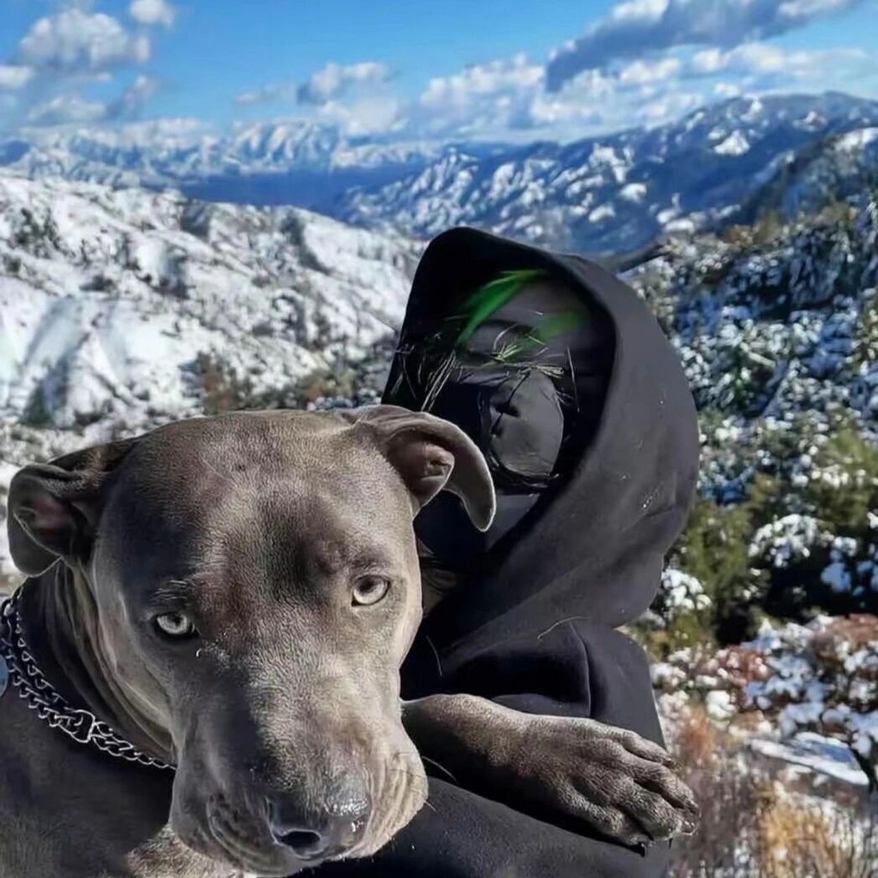 ins风小众沙雕高质量头像