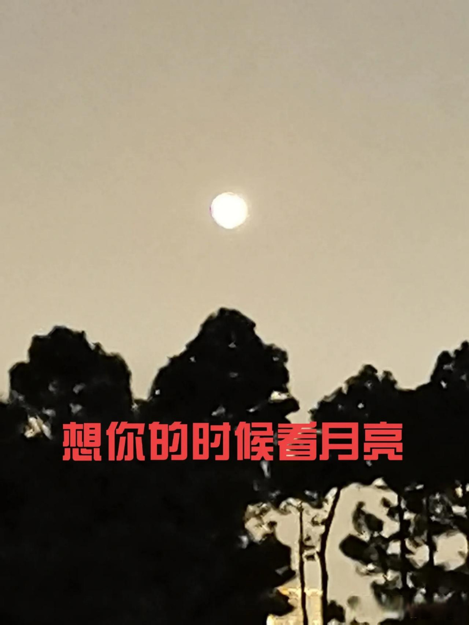 最喜欢哪一句形容相思之苦的诗句想你的时候看月亮.相思 月亮