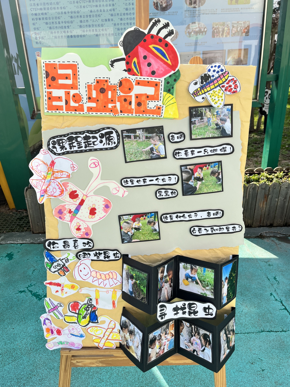 幼儿园环创 昆虫记展板 记录95非原创,借鉴青墨艺术