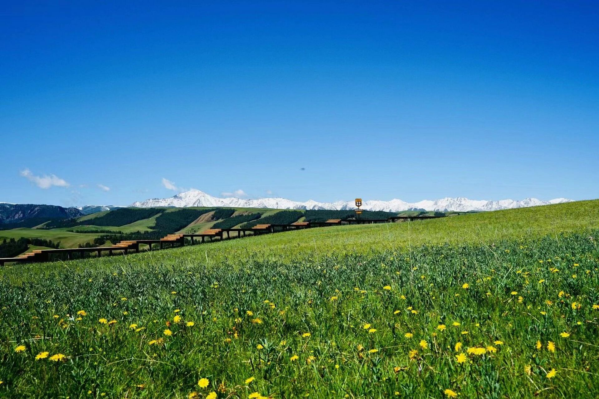 康乐草原  16615算张掖的小众景点吧,但是绝对值得一游,是本次