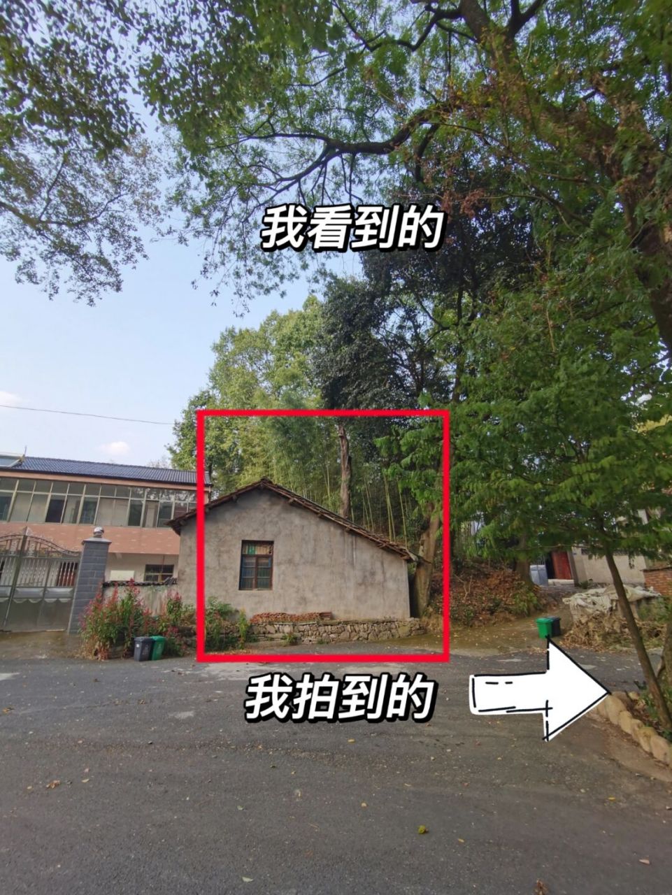 束温暖的阳光,还有老房子,树下坐着几个老人,一眼望去就是山川和田野