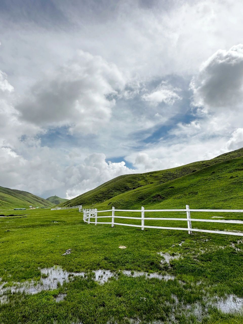 会泽大海草山 云南小瑞士不负盛名 出行tips 7272出行准备: 90