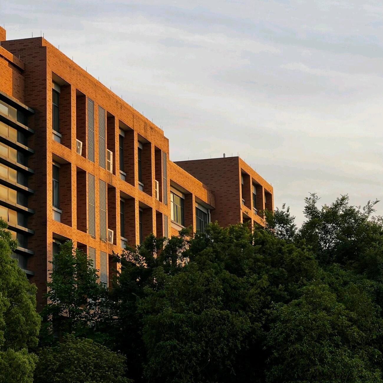 浙江财经大学东方学院