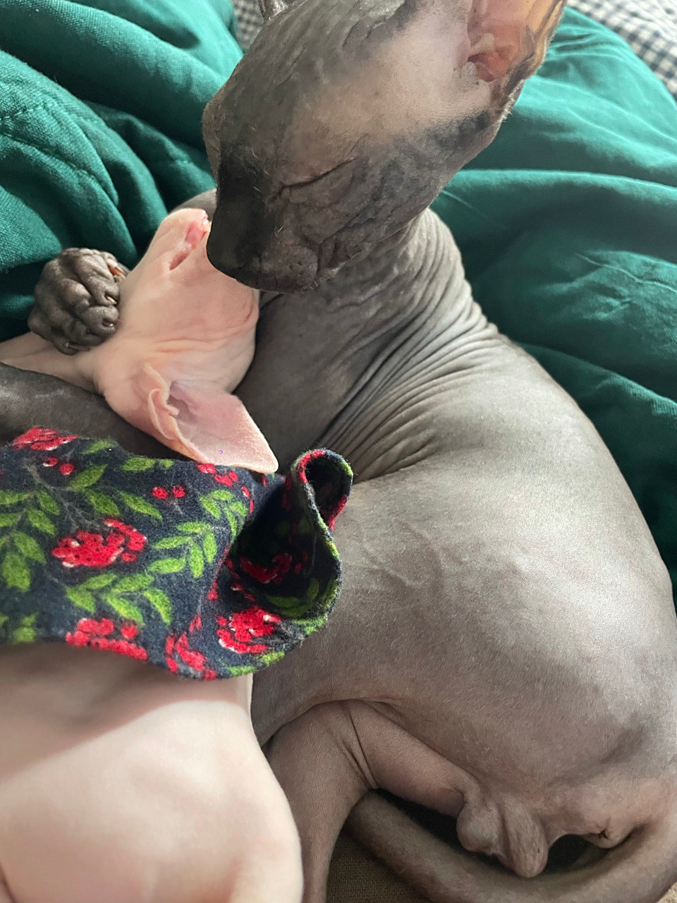 小野洋子/cat power《revelations》[网页链接]