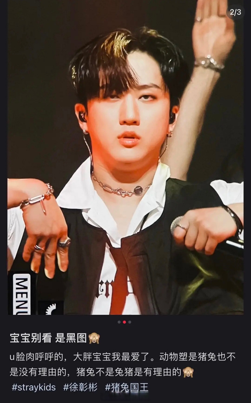 straykids的徐彰彬这个图是认真的吗?粉丝能不能不要这么不挑.