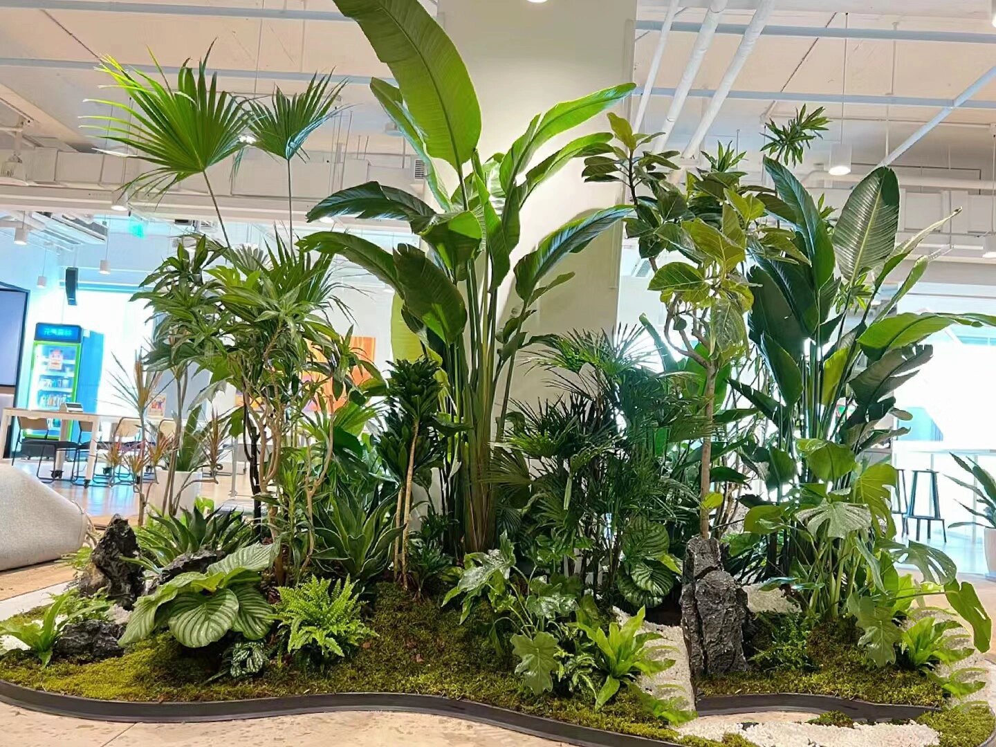植物租摆