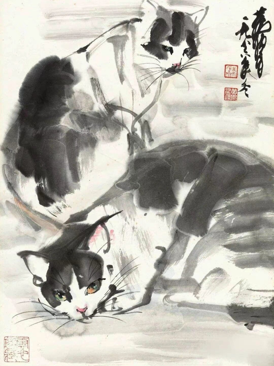 黄胄画猫欣赏