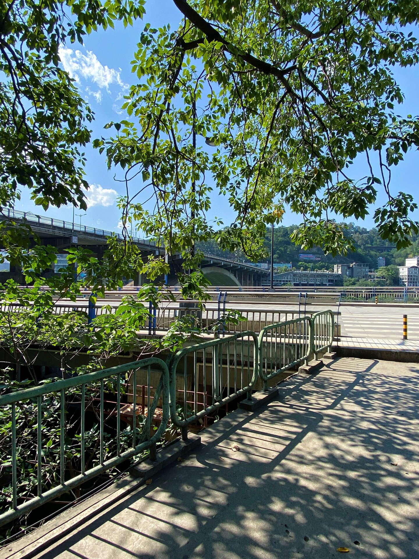 绝美攀枝花98渡口大桥一日游!