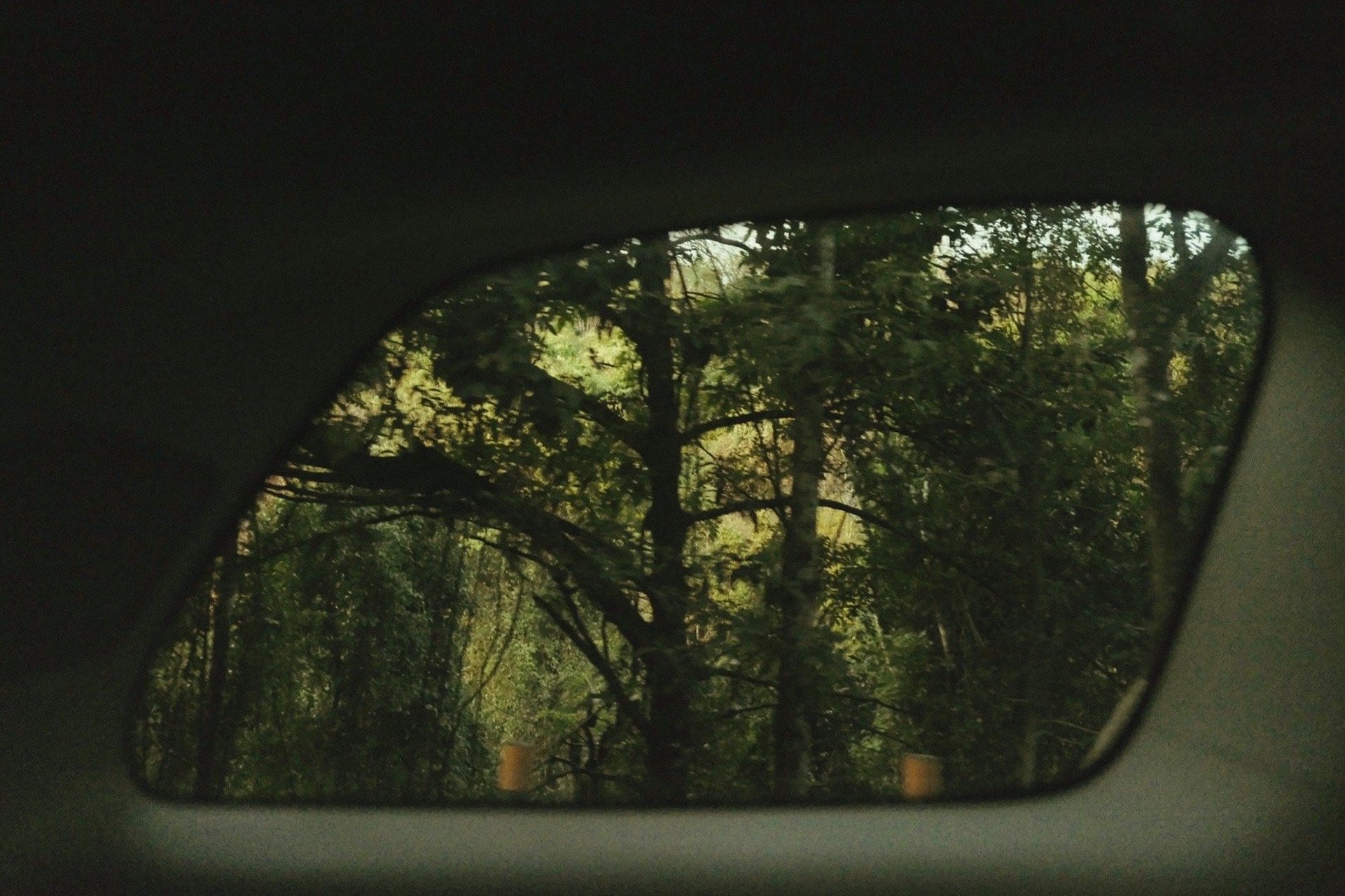 在可爱的电车沿线 除了春天 禁止入内 ——谷川俊太郎