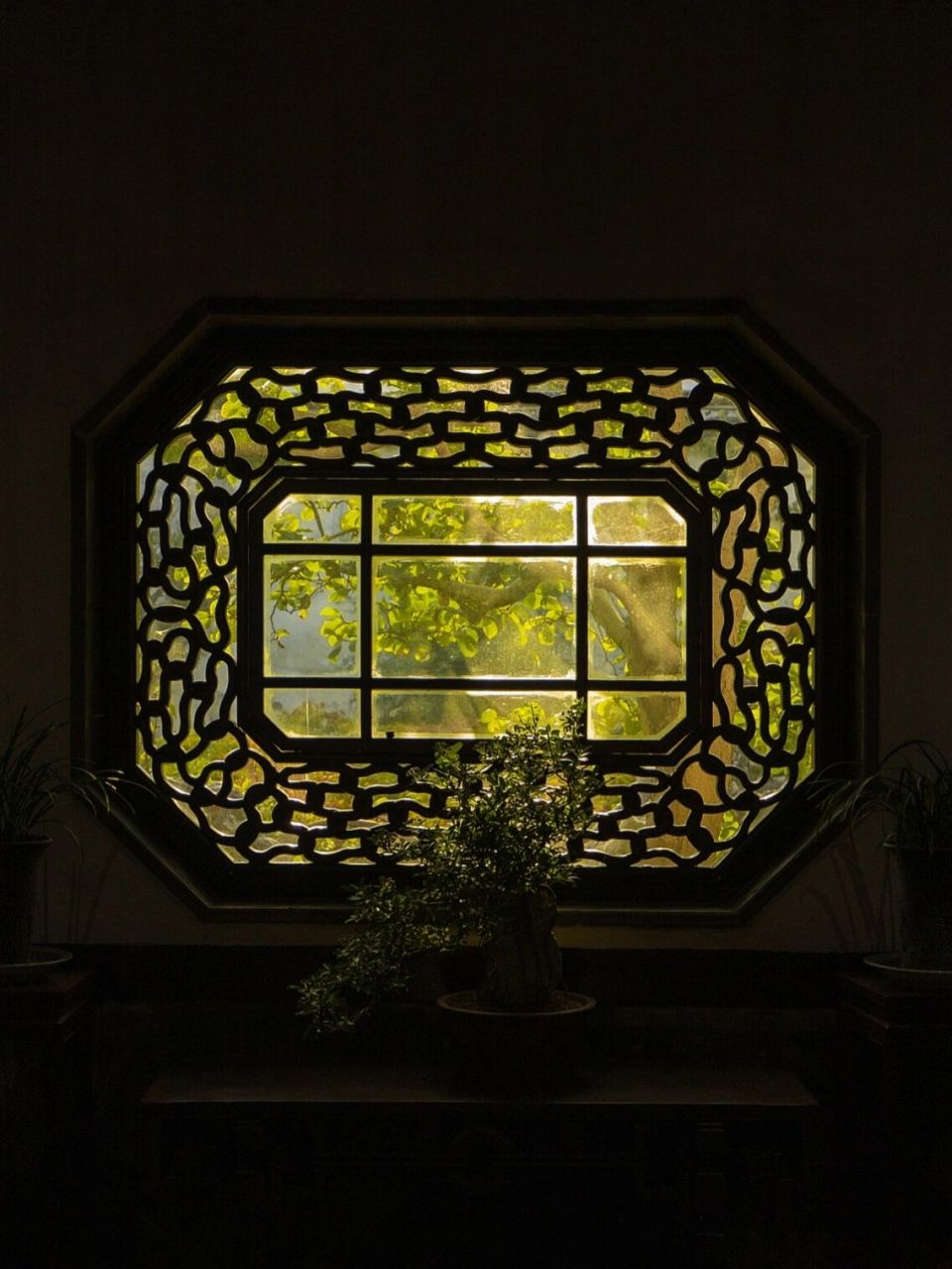 苏州园林 | 园林花窗 合集| 一窗一景 01苏州园林景观是由植物,建筑