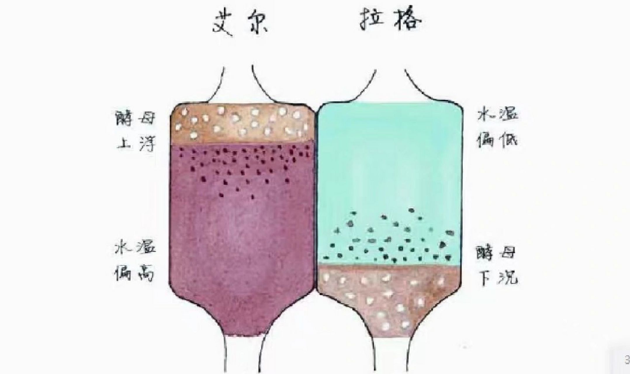 精酿啤酒|你知道艾尔与拉格的区别吗 艾尔啤酒:或是人类最早的啤酒