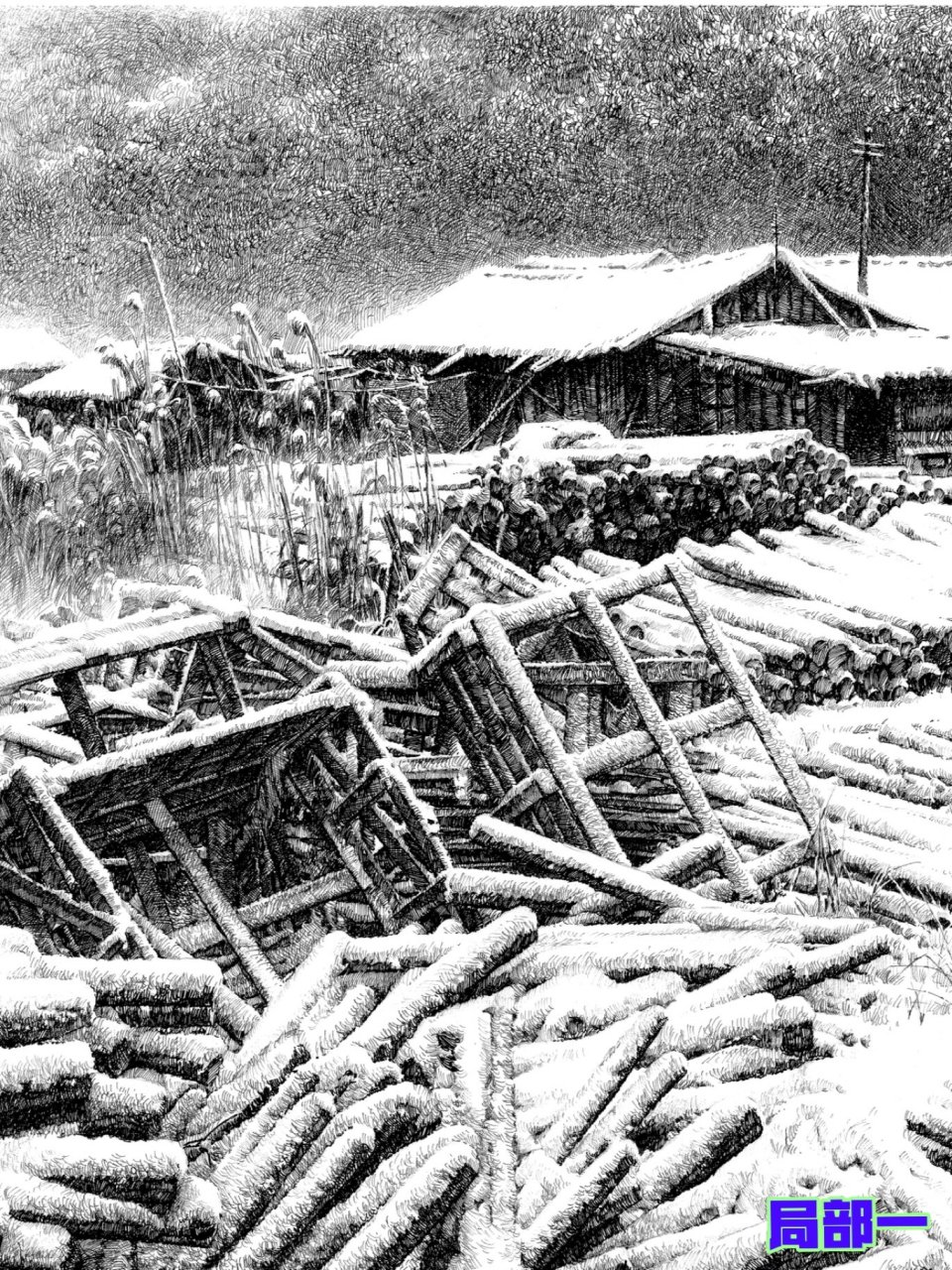 写实钢笔画《雪霁》清晰局部及全图 尺寸:50x45公分 徐亚华作品