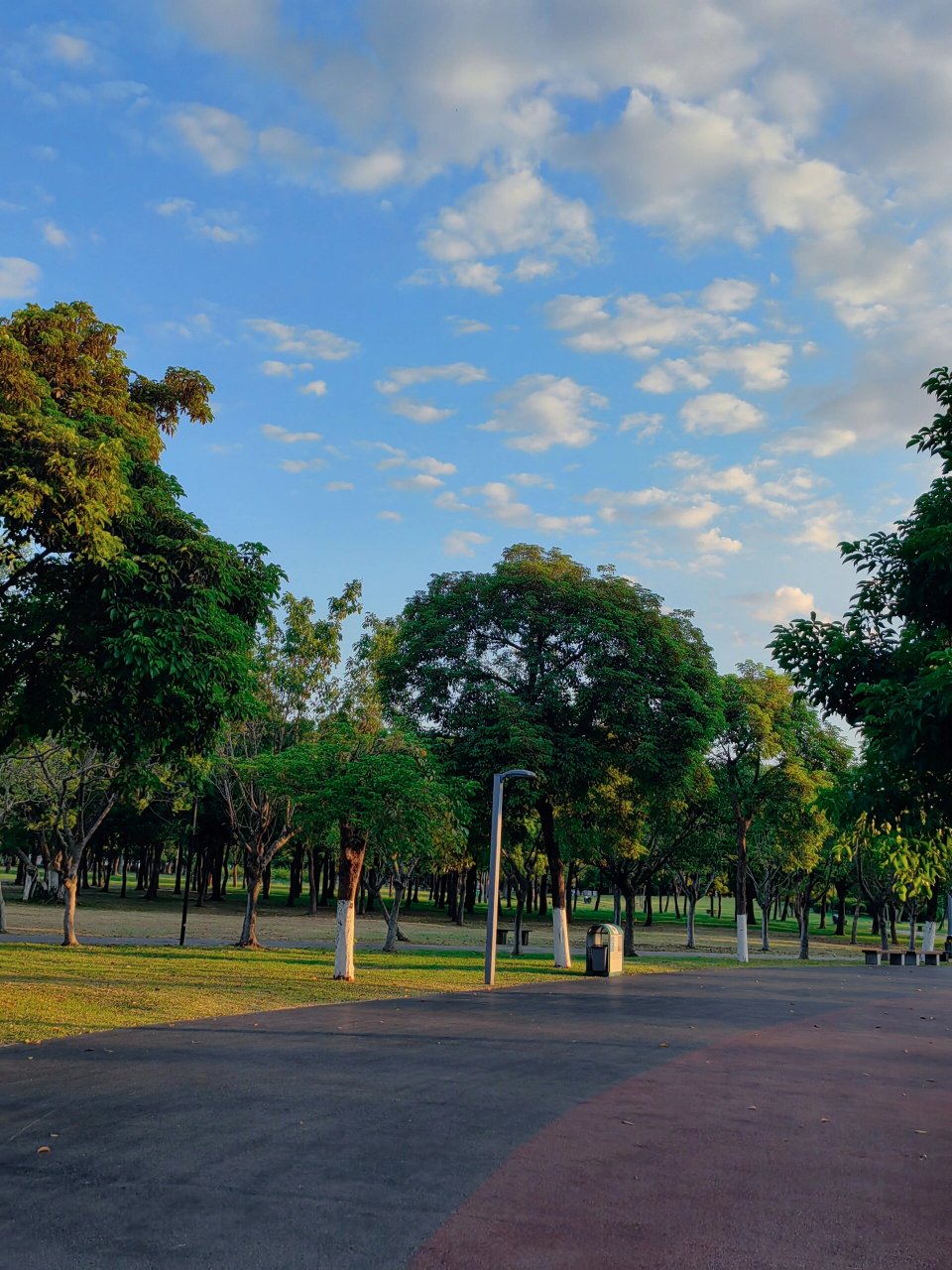 海口万绿园  万绿园是海口市最大的开放性热带海滨生态园林风景,总