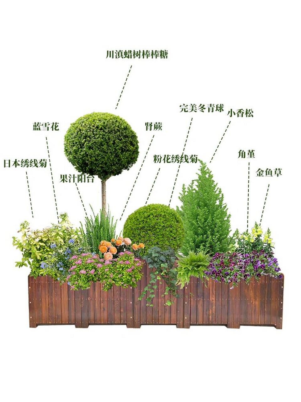 你们要户外防腐木花箱搭配丨保姆级植物清单 相较于不锈钢花箱和铁艺