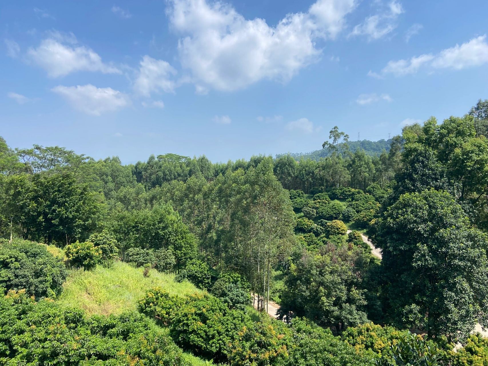 终于登上了漳浦金岗山