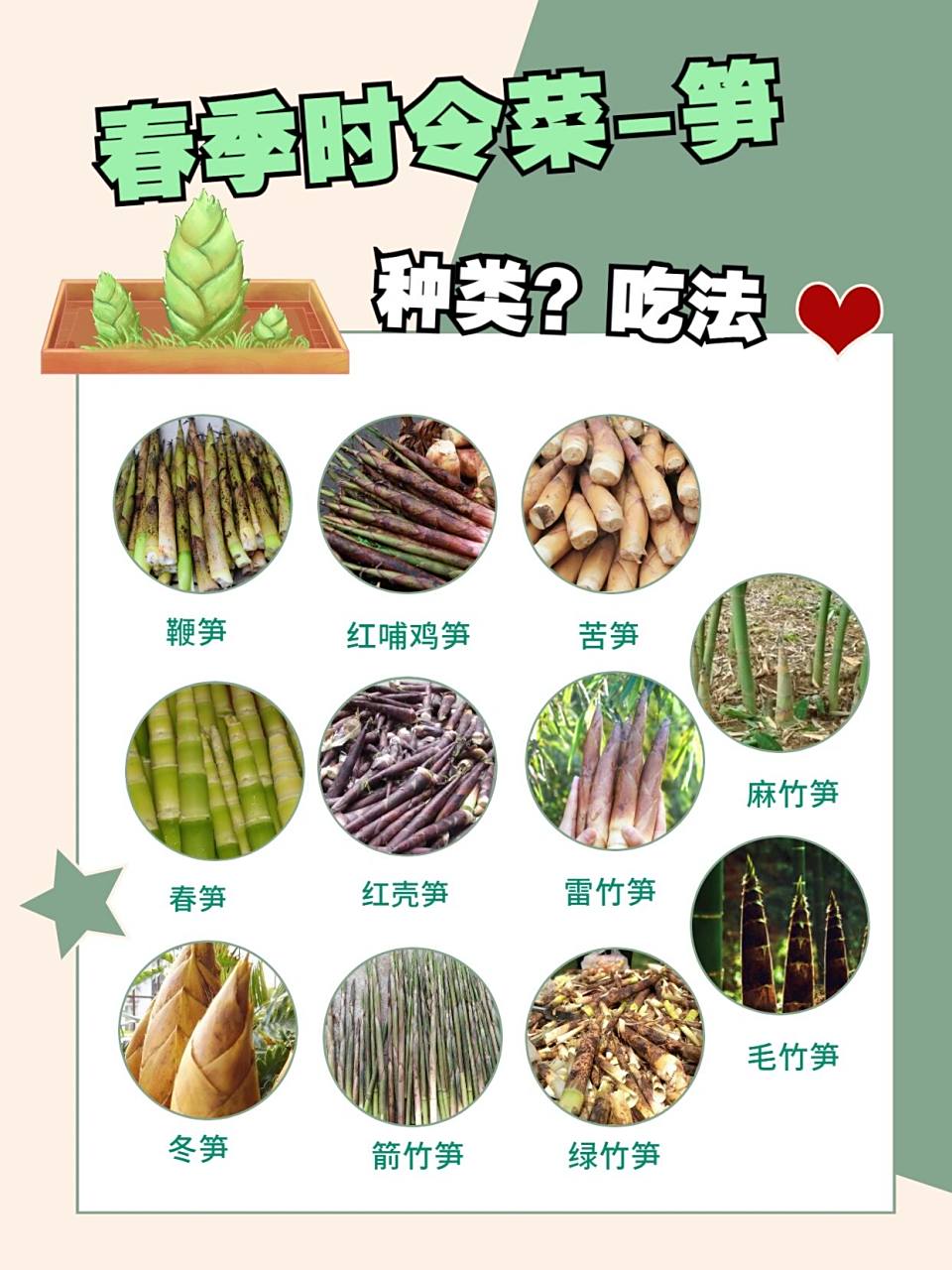 02春季时令蔬菜——笋78种类&吃法轻松17 有人