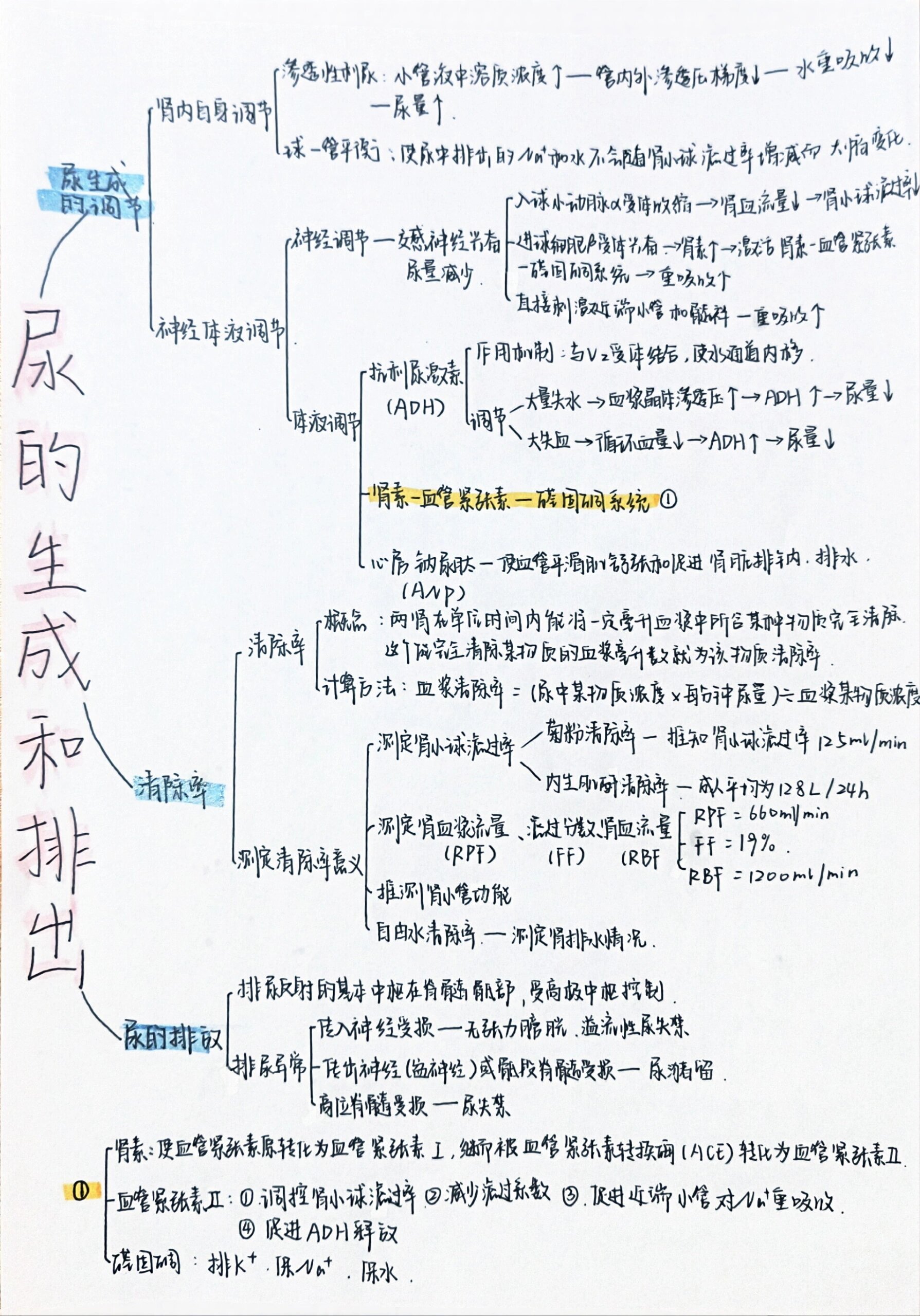 排尿护理的思维导图图片