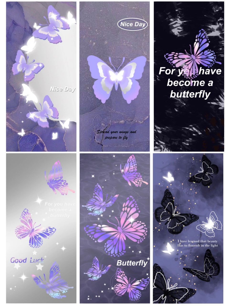 22期|原创壁纸|ins镜面蝴蝶壁纸黑色配色 作者:甜甜_菠萝冰【原创壁纸