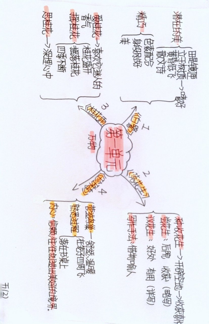 五年级第一单元知识点图片