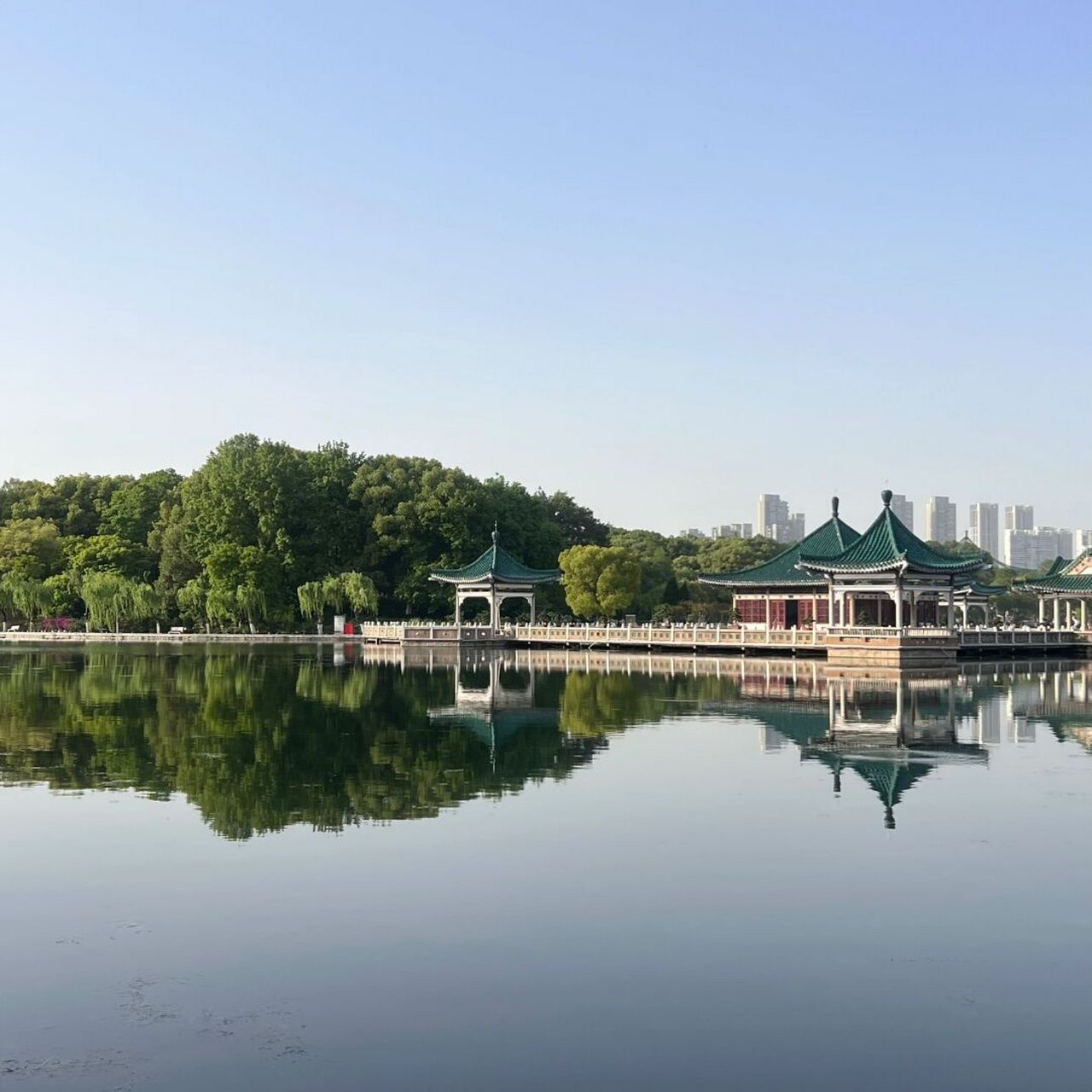 武汉听涛景区东湖最前线05 第一次来武汉比较佛系 不打算去热门打卡