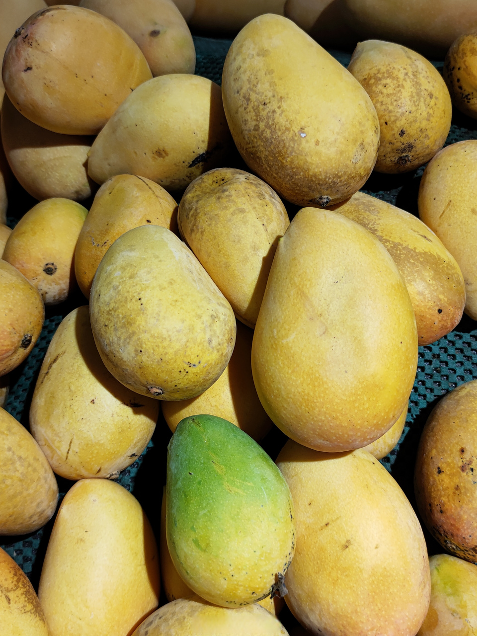 去年发生第一次芒果过敏(脸部肿胀),前几天试着再吃一次,确认是真的对