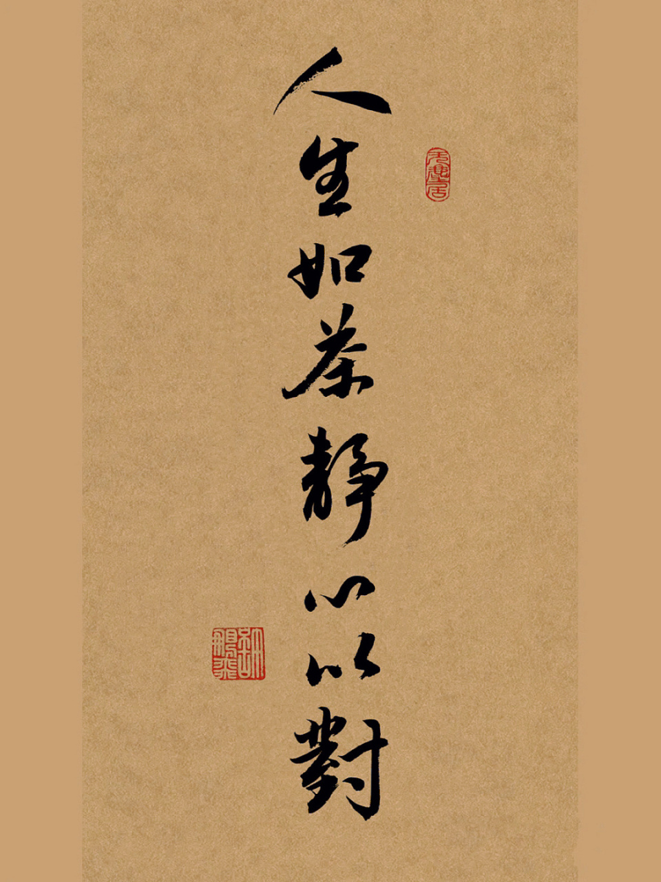 毛笔书法分享|每日练字打卡|手写行书|文案 人生如茶静心以对.