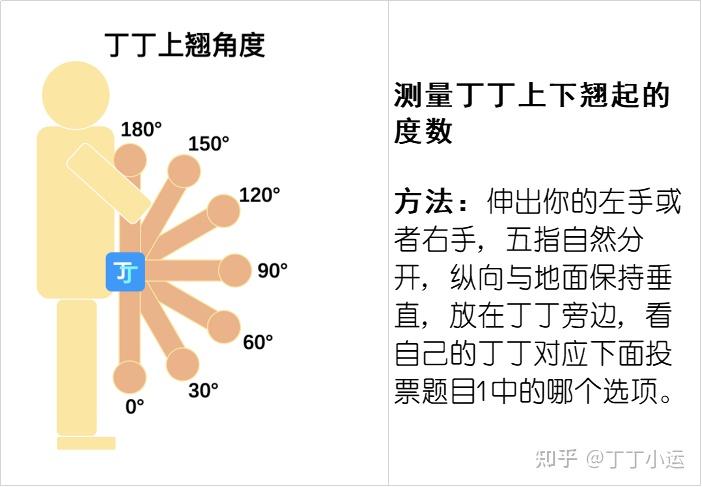 男生的小丁丁向上图片