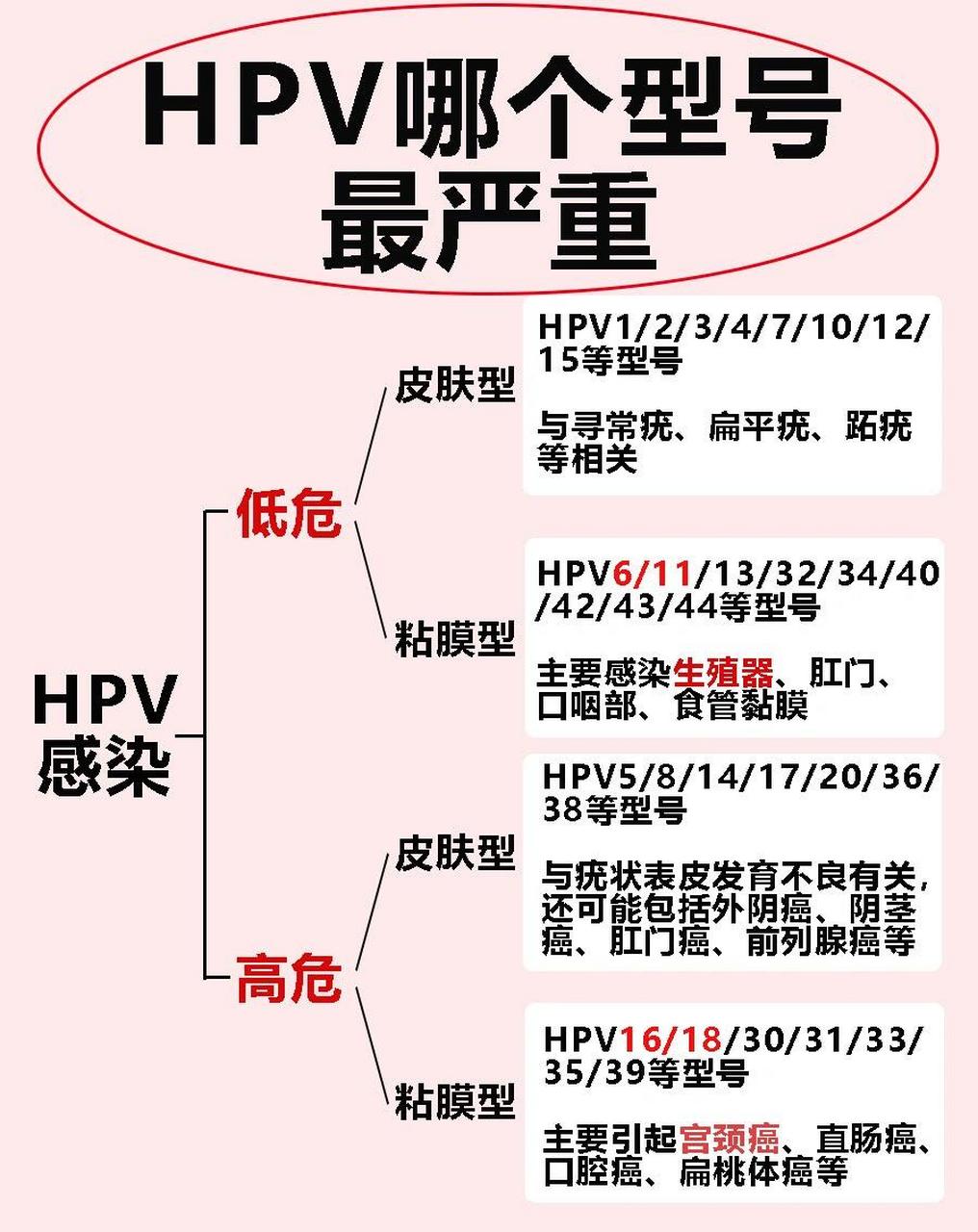 hpv感染原因图片